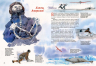 Отважные лётчики-покорители Арктики